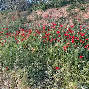 https://antico-borgo.it-tuscanyhotel.com